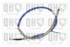 QH_BC2807.JPG