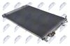CCS-HY-053_2-WM.JPG