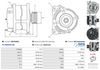 A0575(SEG)_256960.JPG
