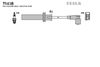 T543B.BMP