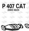 P407CAT.JPG