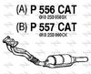 P556CAT.JPG