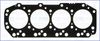 10070220.JPG