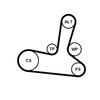 CONTINENTAL CTAM Water Pump + V-Ribbed Belt Kit 5PK1300WP1