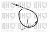 QH_BC2846.JPG