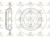 61166-00-MODEL.BMP