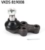 VKDS 819008.JPG