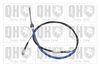 QH_BC3391.JPG