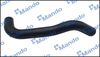 DCC020545(1).JPG