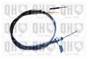 QH_BC4073.JPG