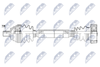 NPW-AU-067_9-WM.PNG