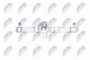 NPW-NS-156_9-WM.PNG