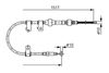 1987477601LIFRWHCO00MM.JPG