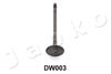 5DW003_1.JPG