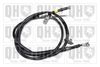 QH_BC3832.JPG