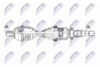 NPW-FR-181_9-WM.PNG