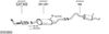 SYS10903.JPG