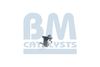 Катализатор BM CATALYSTS BM91589H