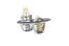 termostat SCANIA 725482