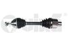 49874001.JPG