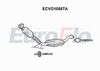 ecvo1058ta.JPG