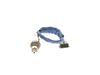 30_0 258 030 342.ZIP