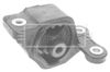 BEM3584_210429.JPG