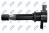 ECZ-FT-002_3-WM.JPG
