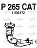 P265CAT.JPG