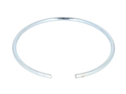 inel de ghidare,butuc roata BTA B04-003500535/K