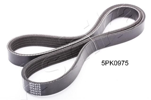 Pasek klinowy wielorowkowy ASHIKA 112-5PK975