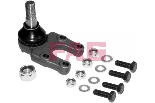 Pivot Schaeffler FAG 825 0235 10
