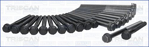 Zestaw śrub głowicy cylindrów TRISCAN 98-2503