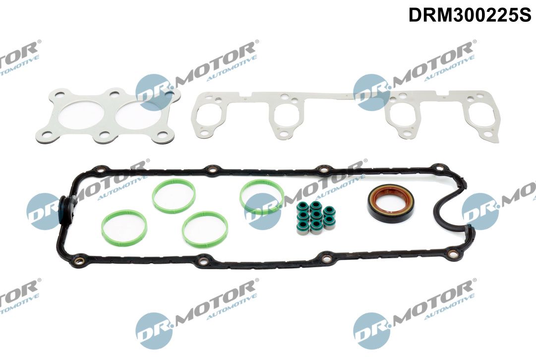 Set garnituri, chiulasa Dr.Motor Automotive DRM300225S