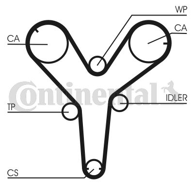 Pasek rozrządu CONTINENTAL CTAM CT844