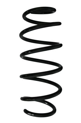 Arc spiral SPIDAN 88179