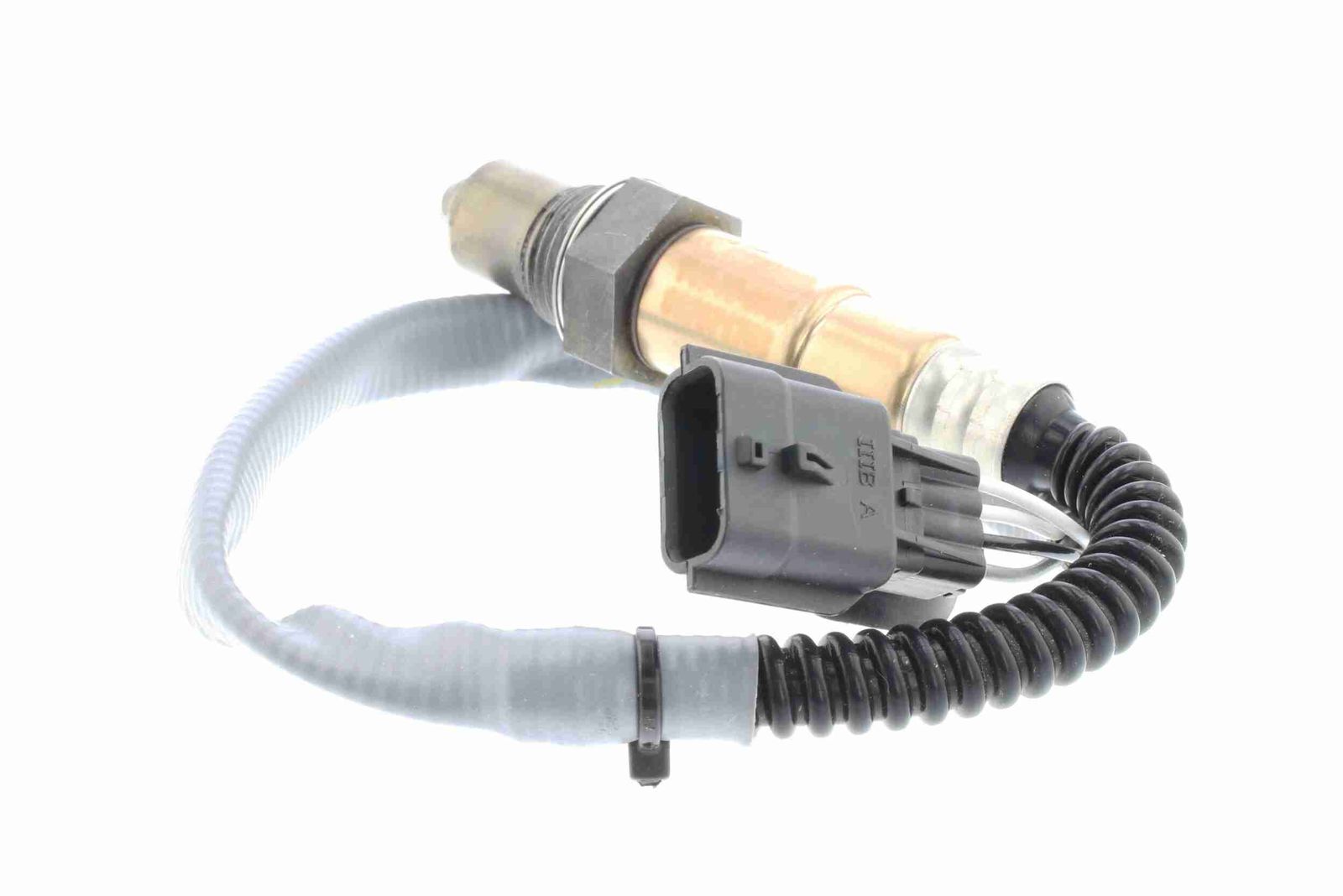 Sonde lambda