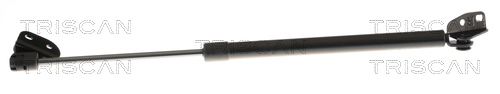 Amortizor portbagaj TRISCAN 8710 43211
