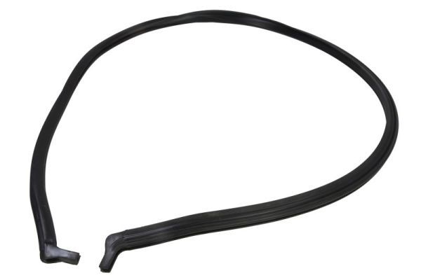 Garnitura, parbriz BLIC 5703-04-5526101P