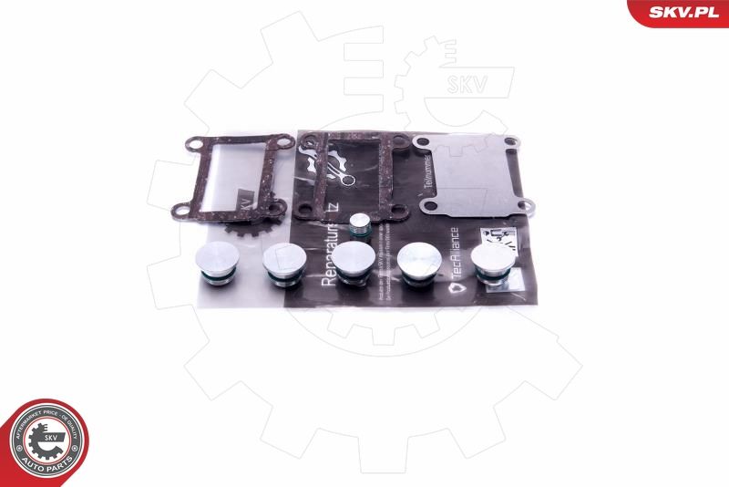 Reparationssats, sugrörsmodul ESEN SKV 49SKV526 för ALFA ROMEO, FIAT, LANCIA, OPEL