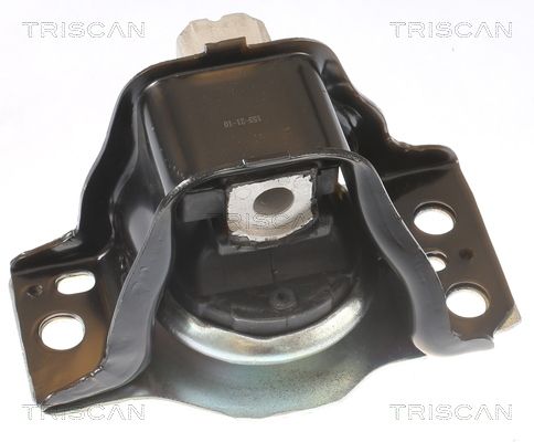 Łożyskowanie silnika TRISCAN 8505 25102