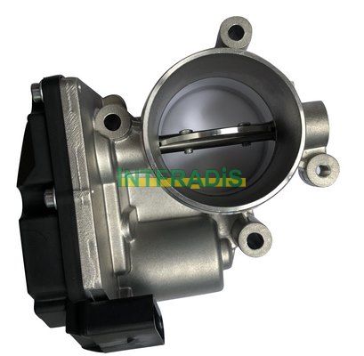 Corps papillon