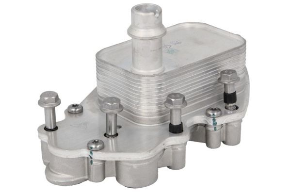 Radiator ulei, ulei motor THERMOTEC D4X025TT