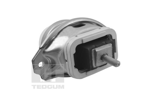 Łożyskowanie silnika TEDGUM TED44341