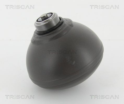 Akumulator ciśnienia, resorowanie / tłumienie TRISCAN 8760 38229