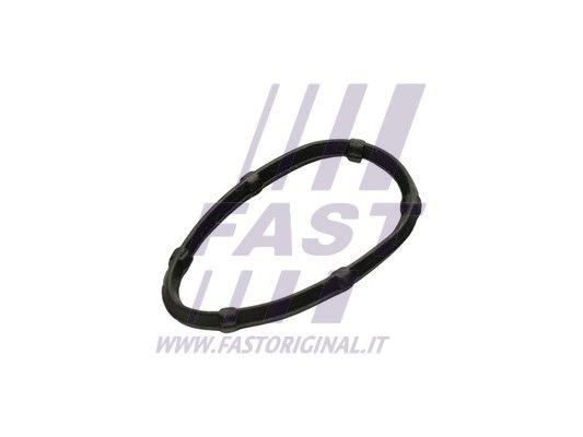 Uszczelka, kolektor wydechowy FAST FT49457