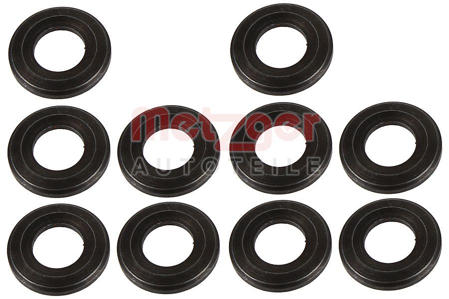 Kaitseseib,sissepritsesüsteem