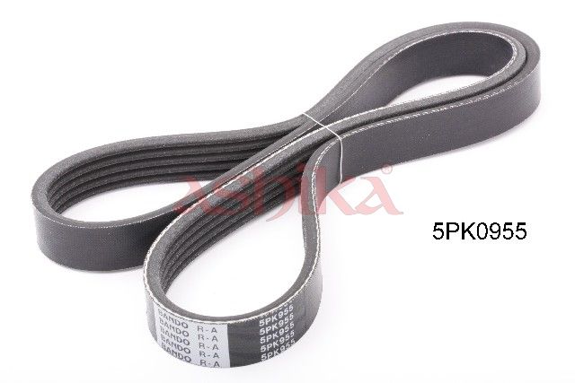 Curea transmisie cu caneluri ASHIKA 112-5PK955