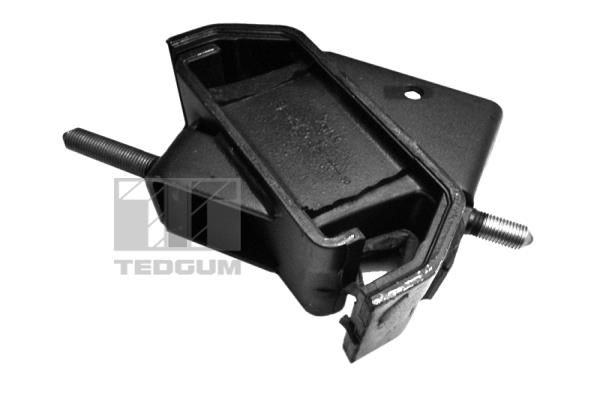 Łożyskowanie silnika TEDGUM 00976918