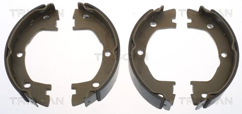 Zestaw szczęk hamulcowych, hamulec postojowy TRISCAN 8100 15025